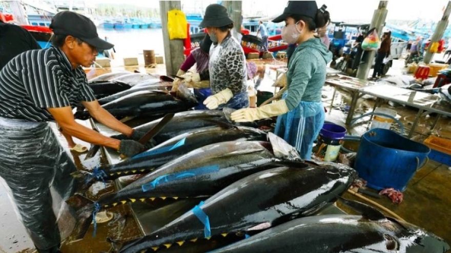 Tuna exports poised to hit US$1 billion this year